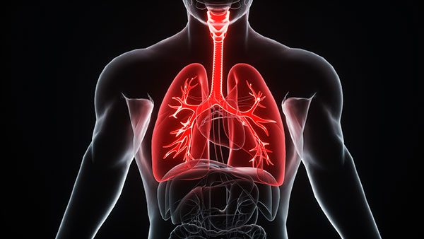 肺结核复发怎么治